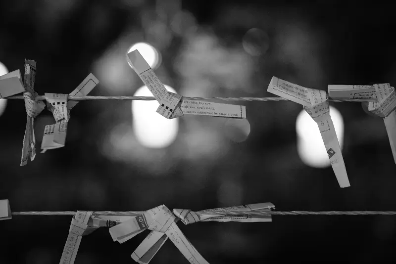 おみくじ!去年に続き小吉だったので、結んできました。