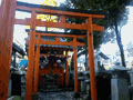 2代目 EXILIMケータイ W63CAで撮影 - 錦糸公園内の神社より。