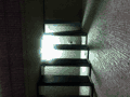 狭い階段でセミがバタバタする音が聞こえる恐怖…。